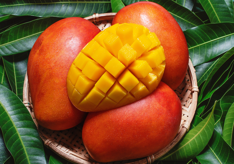 histoire-origine-mangue.png