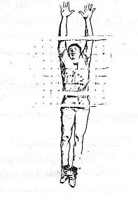 T25vEz9.jpg