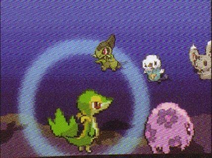 new-pokemon-corocoro-2.jpg