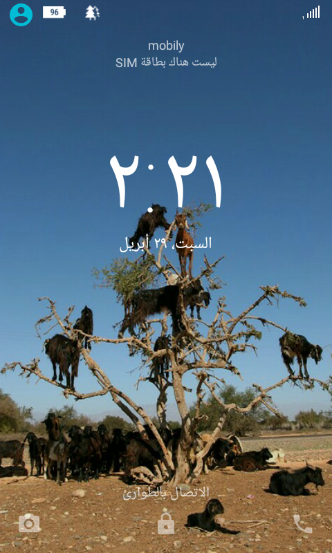 LaoYfio.png