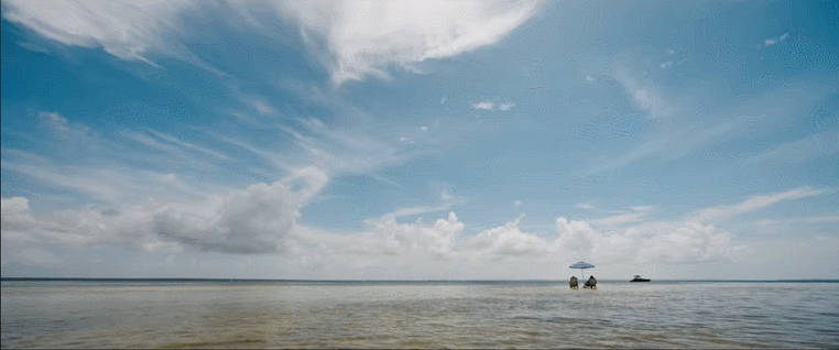 BsL0HDZ.gif