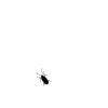 AFBsJ.gif