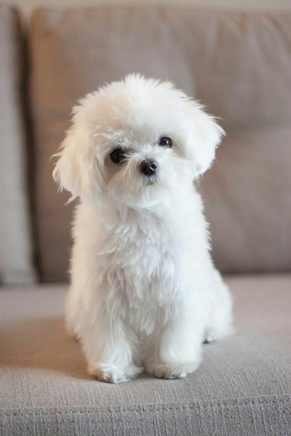 533133310.jpeg