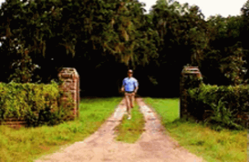4187ca5efda0d0e319ea3427cd55e029.gif