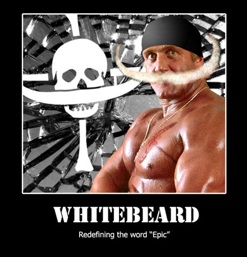 tumblr_ljc30giHPd1qgolq8.jpg