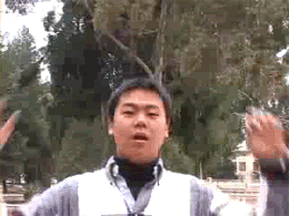 nooooooooooooo---Arabic.gif