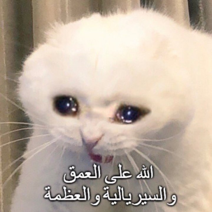 QBuyGdU.jpg