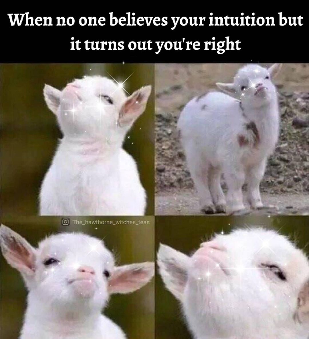 9Y1QAlE.jpg