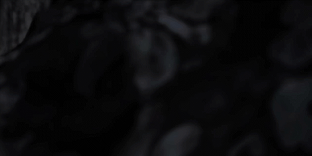 uWiHoxS.gif