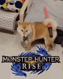 tenor.gif