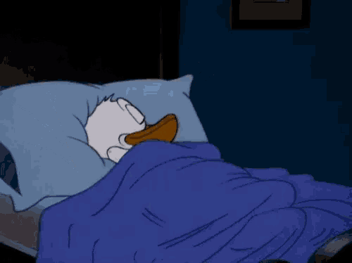 donald-duck-angry.png