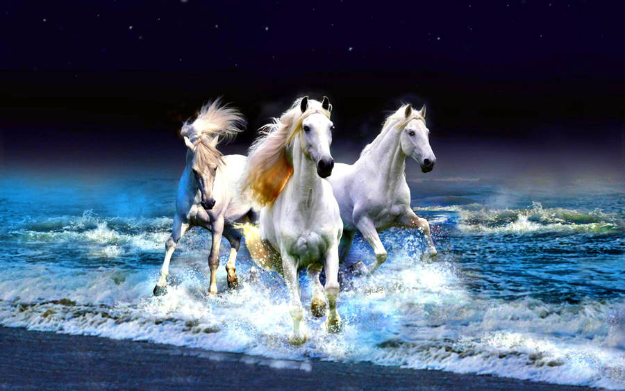 serenity_habib_arabian_horse_pastel_17x14.jpg