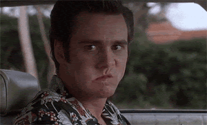 BCDF4-F77-BD04-41-D3-9-B21-0812-BCBDEAC4.gif