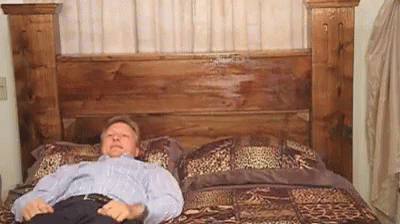 bed-surprise.gif