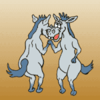 9196e905121e63d49072c720225ac3aa_w200.gif