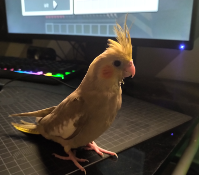 AyquLis.png
