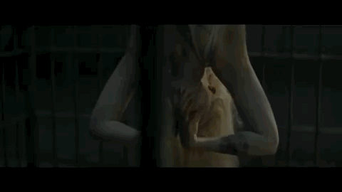 krWj4HX.gif
