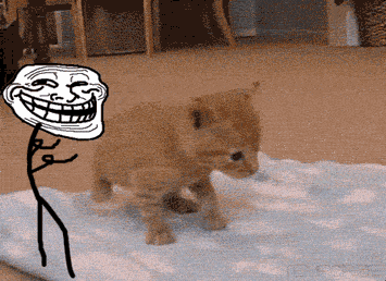 tumblr_m8ri5kdsIh1r1u85fo1_400.gif