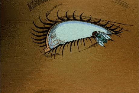 tumblr_mtc3lmjkLB1rgluzto1_500.gif
