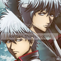 Gin-Split-2.png
