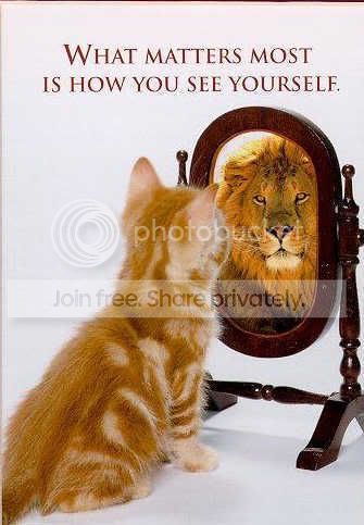 funny-cat-picture-cute-kitty-pic-ki.jpg