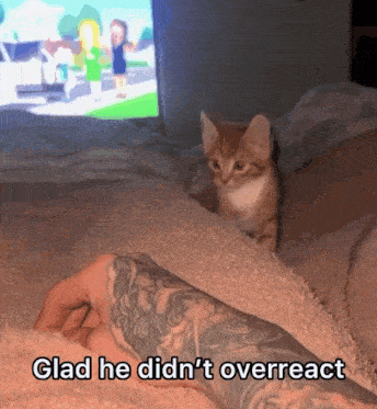 tenor.gif