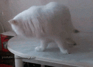 tumblr_ocfi78bWS41tyncywo1_400.gif