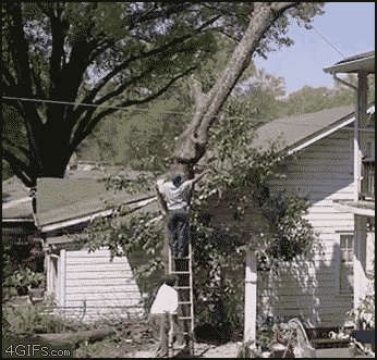 eb16d70838cef17cb79bfaca5d2196a5.gif