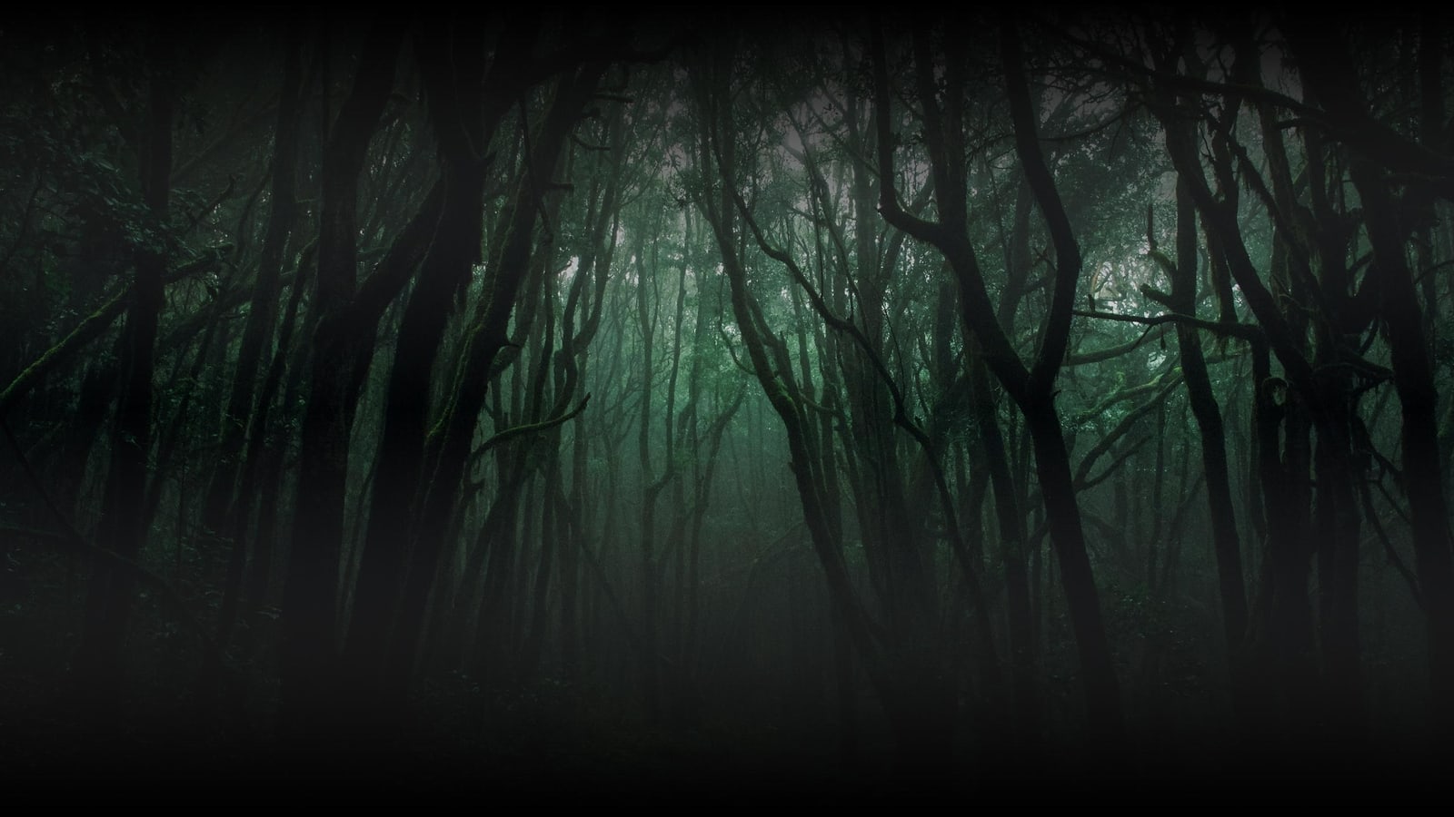 Background-Beasts-and-Beauty-Dangerous-Tales.jpg
