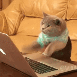 giphy1.gif