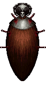 npc_koriel.gif