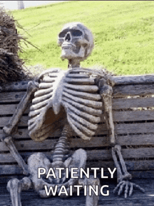 173035462235621.gif