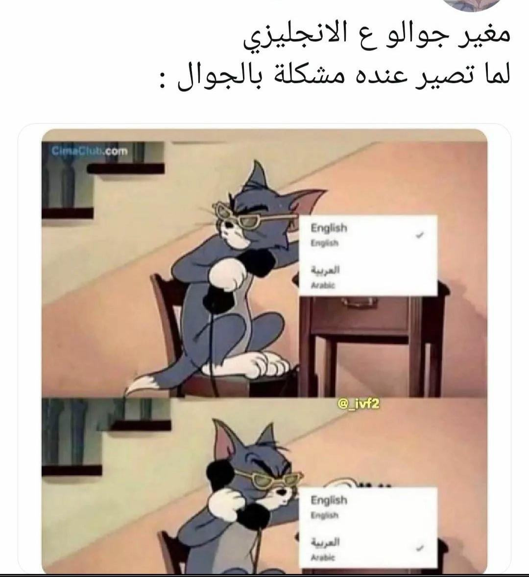 176529128.jpg