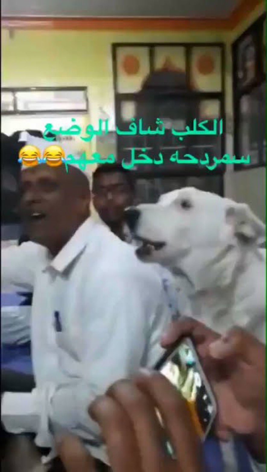 EuhCdJmXUAs1hjd.jpg:large