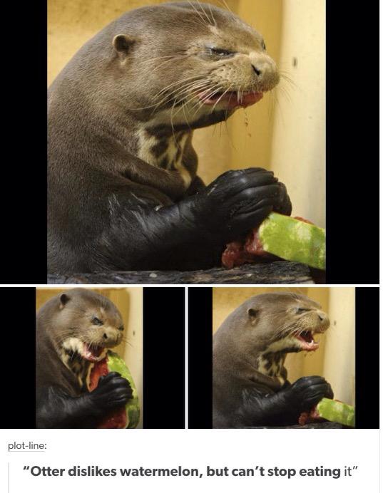 CGrjhZPUkAAFNYp.jpg