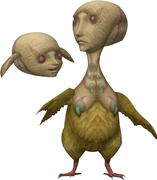 Oocca.png