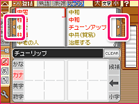 ss06.gif