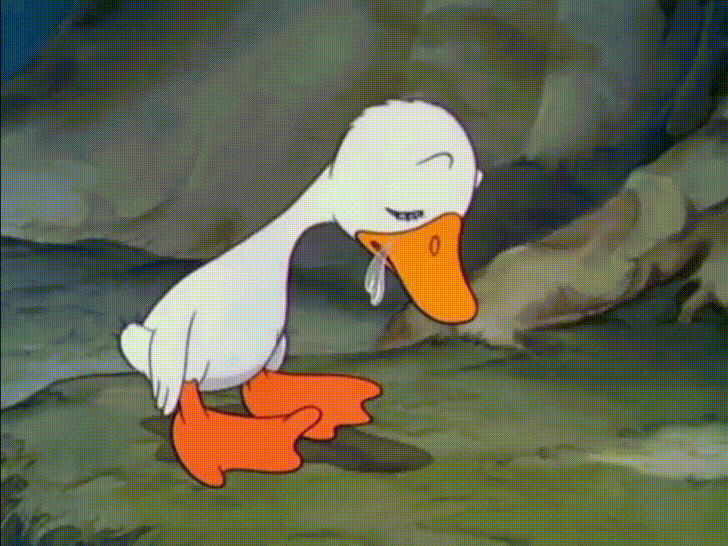 fjceLpC.gif