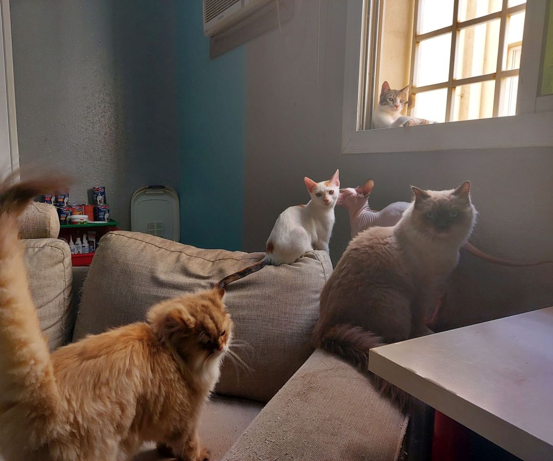 20201228-132958-1.jpg