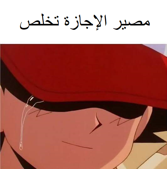 8L9vnMQ.png