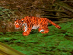 240px-Tiger.jpg