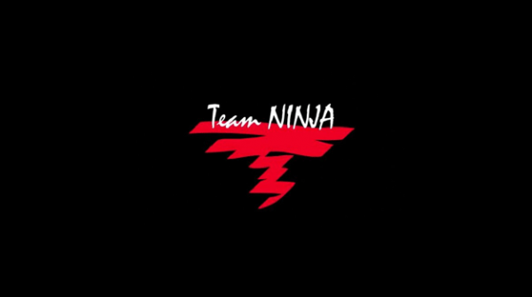 team-ninja-logo