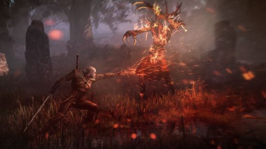 the_witcher_3_wild_hub7uws