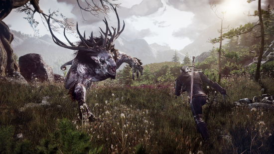 the_witcher_3_wild_huc6uj0