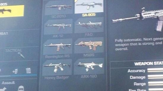 Call_of_duty_ghosts_assault_rifle