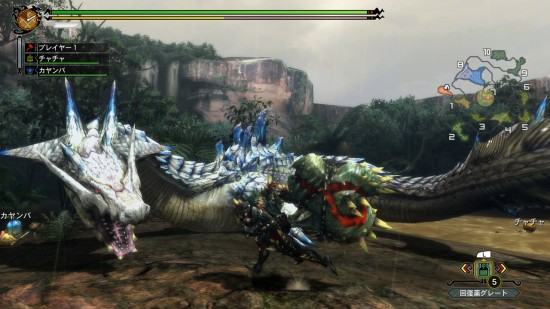 Monster-Hunter-3-Ultimate-12-19-2012-009