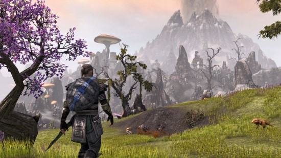 the-elder-scrolls-online-fields.0_cinema_720.0
