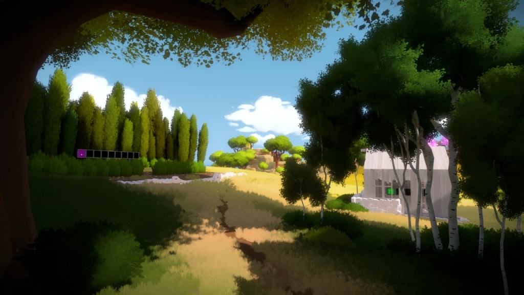 The Witness - 8