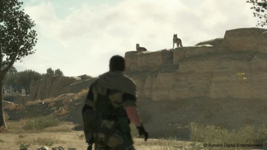 mgstpp_gc_14_web