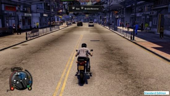 Sleeping Dogs (10)